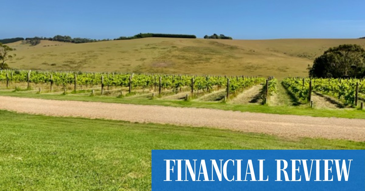 Radek Sali's Flinders farm hits the market with $28m price tag - Vimarsana News