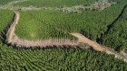 Hume Forests, in southern NSW, has been owned by a Global Forest Partners fund since 2004. 