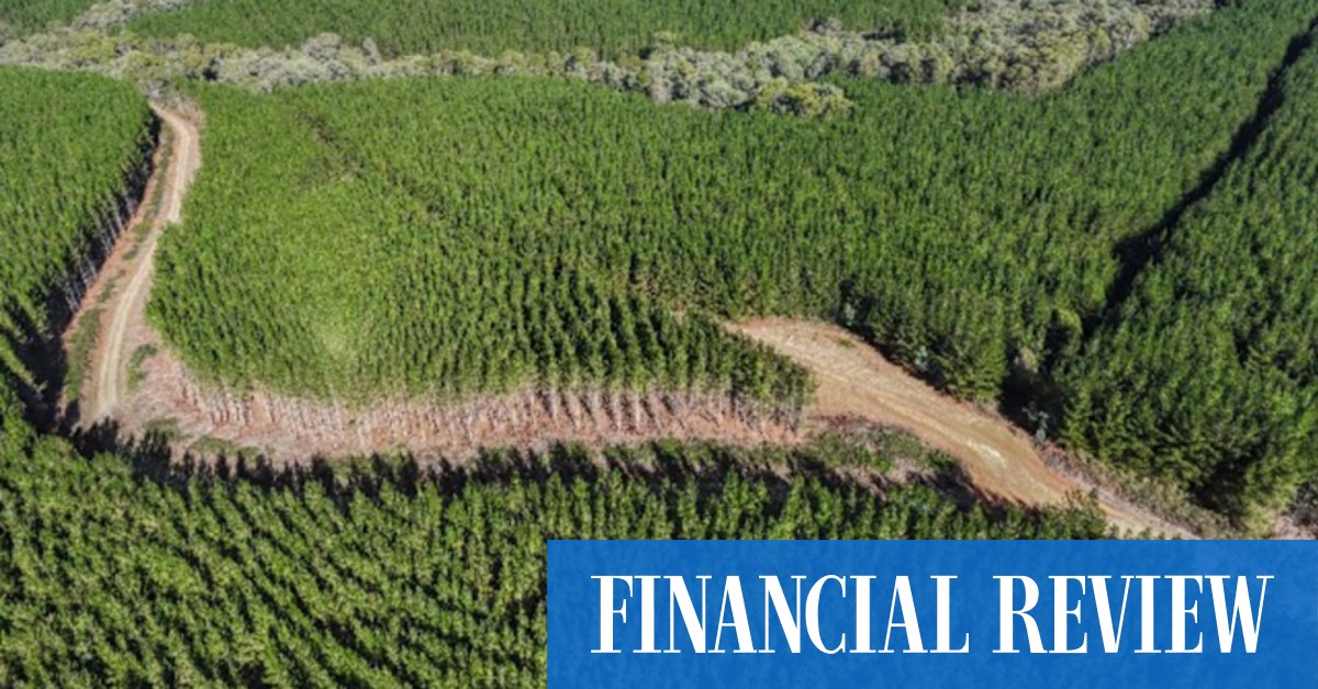 Global Forests ready to unload NSW assets, Resolute hired - Vimarsana News
