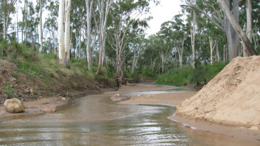 The Suttor River in central Queensland, from which Adani intends to pump water to feed its Carmichael coal mine. 