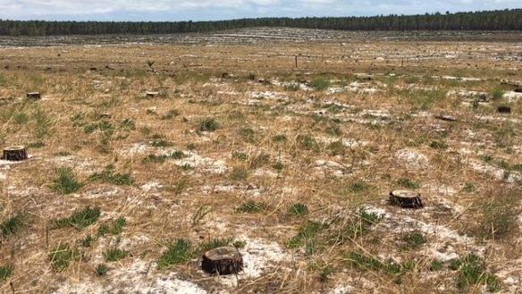 The resource as it looks today. 