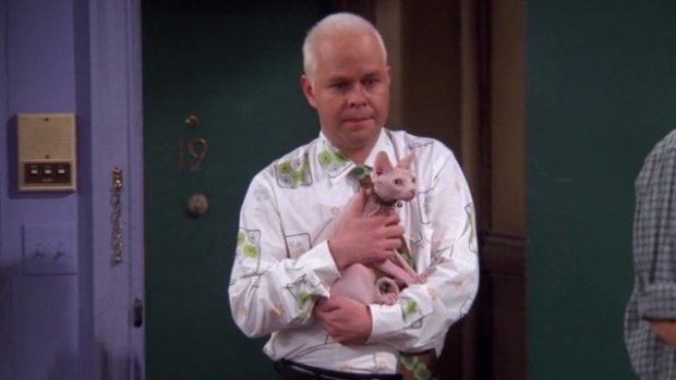 In The One With the Ball, Gunther buys Rachel’s cat simply to show how much he loves her. 