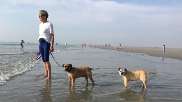 Long wait: Sue Bathgate with her dogs Bertie and Poppy, who are currently in Australia. 