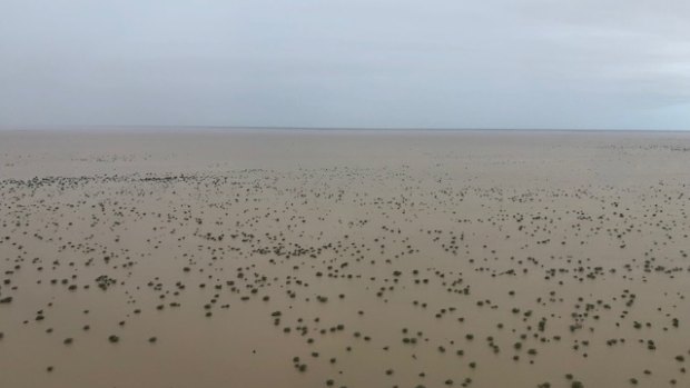 Severe flooding stretches across a vast area of the Queensland Gulf in north west Queensland.