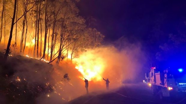 Image taken at the Cunninghams Gap fire in Queensland's Scenic Rim in November.