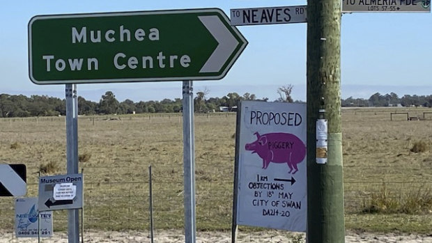 Neighbours say they moved to the area looking for a quiet rural life and feel the proposed piggery will generate offensive smells and contravene the area's rural zoning.