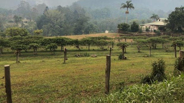 Jim Tait's property in the northern rivers of NSW on Monday.