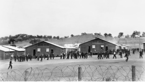 Japanese prisoners of war of the 12th Prisoner of War Camp, Cowra on July 1, 1944.