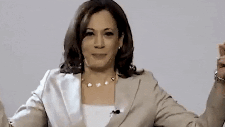 US election 2020: Kamala Harris has redefined the 'veep' role, even before  she begins