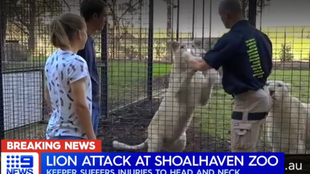 The zoo says that visitors can come face-to-face with its lions and feed them with the help of zoo staff.