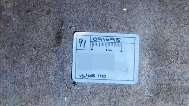 A photo of "stain 91", which was found in Robert Xie's garage.