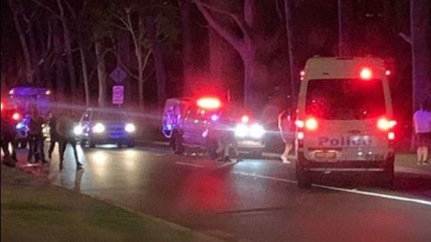 The fight erupted after two tour buses arrived at Perth's iconic Kings Park.