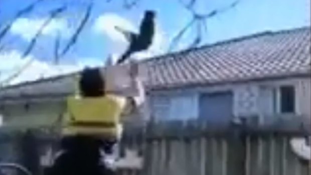A still from a video "that shows a man hurling a cat into a wall".