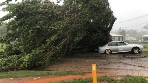 Trees were blown down as Cyclone Trevor crossed far north Queensland earlier this week. It will re-strengthen in the Gulf of Carpentaria.