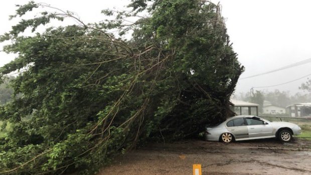 Trees have come crashing down in far north Queensland overnight.