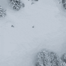 Whistler