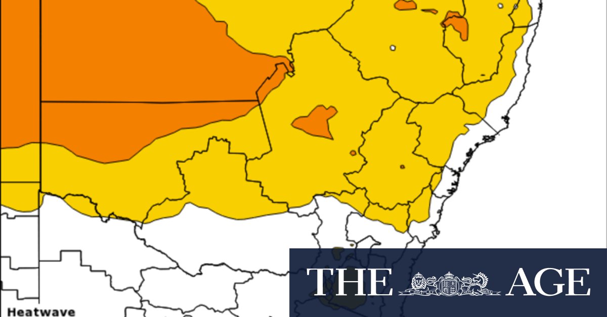 Sydney weather: Hundreds of extra emergency calls, four music fans in hospital, and temperatures set to rise again - Vimarsana News