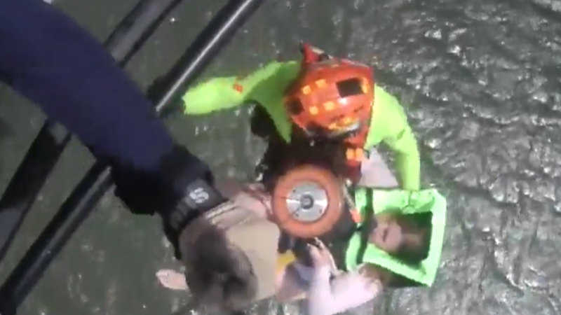 Paddleboarders saved after being swept across Port Phillip Bay