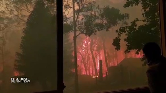 A still from the footage shot at the Bilpin property on Saturday.