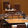 Shut it down: Lidia Thorpe at centre of Senate chaos