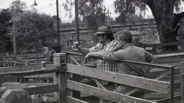 In the old Newmarket sale yard in Melbourne’s inner west.