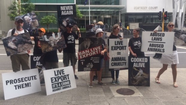 Anti live animal export activists outside Perth Magistrates Court on Friday. 