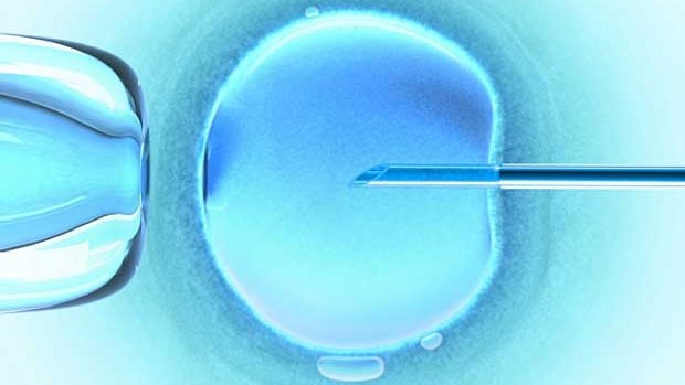 The two largest IVF clinics in the country are either publicly traded or owned by publicly traded companies.