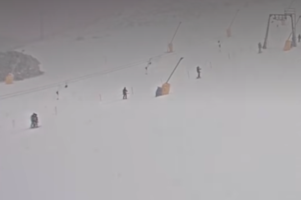A man has died after the car he was a passenger in was hit by a tree which fell near an Aussie ski resort.