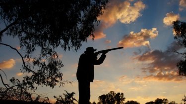 Recreational shooters are wanting certainty over duck hunting. 