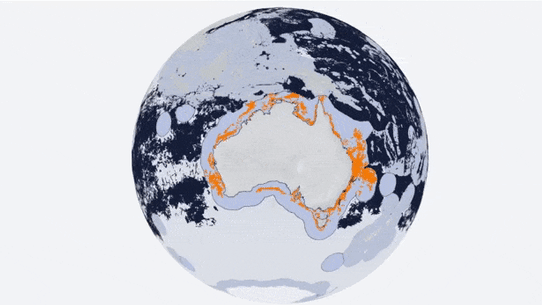 Global / Australian fishing activity