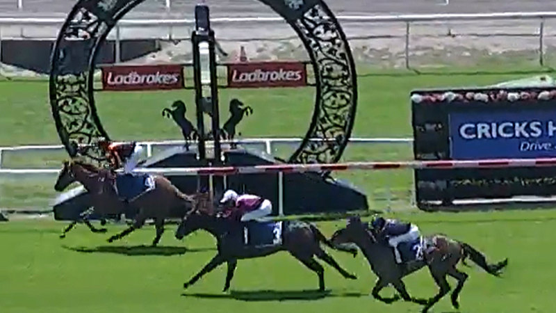 Trainer fined for offensive social media posts used the Oxford Dictionary as a defence