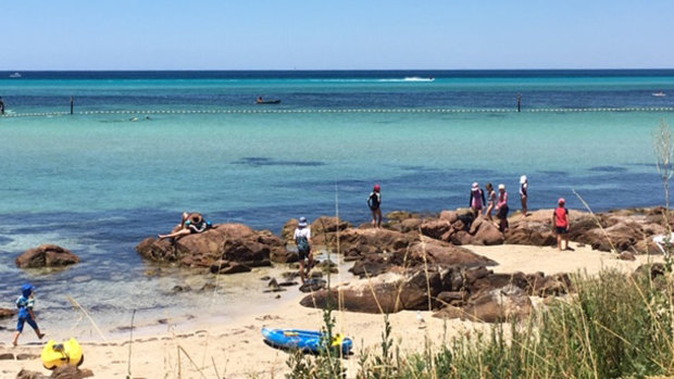 The occy was found in a popular Dunsborough swimming area.