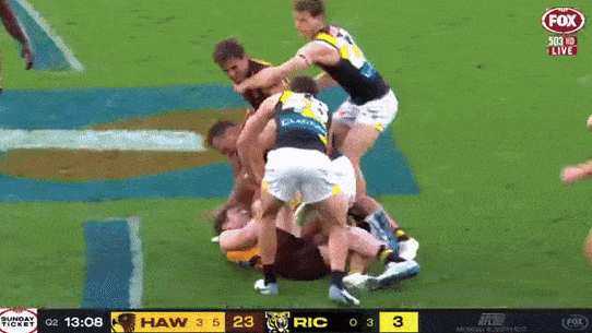 The scuffle between the Hawks and the Tigers