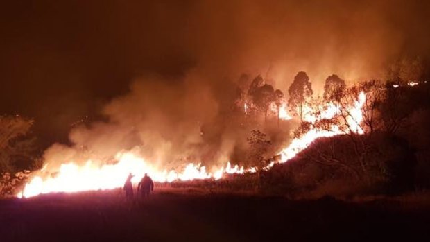 Fires have also been raging for days in the Gold Coast hinterland. 