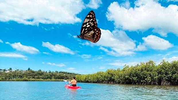 A butterfly photo bombs a kayaker's snap in Noosa this week.