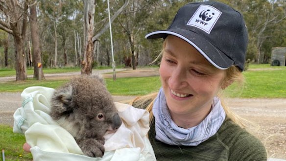 Dr Kita Ashman holds a young koala.