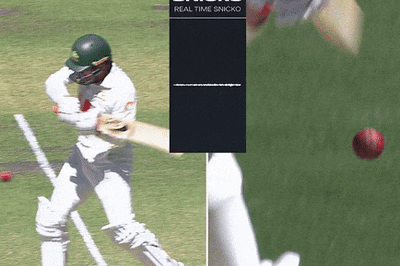 Alex Carey admitiu após tocos que havia acertado a bola.