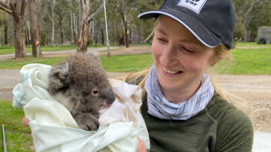 Dr Kita Ashman holds a young koala.