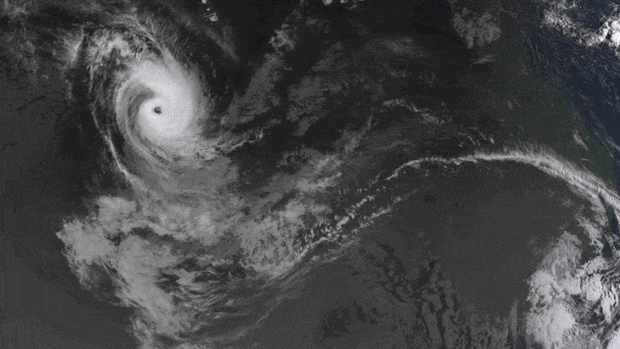 Tropical Cyclone Narelle GIF 8am Friday morning. Picture: Bureau of Meteorology
