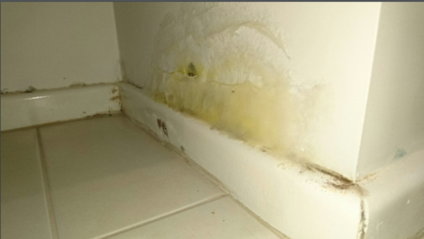 Defective plumbing can leak and cause significant mould growth.