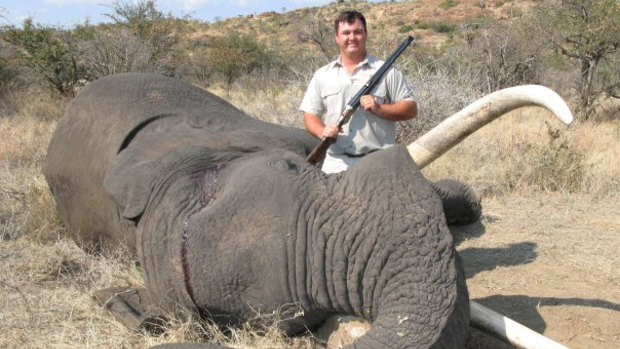 A photo from Mr Crossberg's Facebook page of him posing with a dead elephant. 