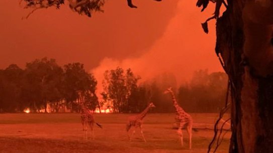 "It was black and red, like midnight, at 11 o’clock in the morning," Mr Staples said.