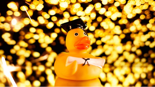 A picture of a rubber duck included in emeritus professor William Maley’s submission to the inquiry on university governance.