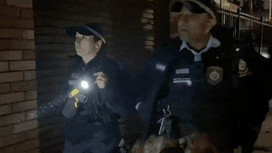 New video shows altercation before eye injury to Greens candidate