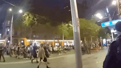 Bodycam footage referred to watchdog after police altercation at Herzog protest