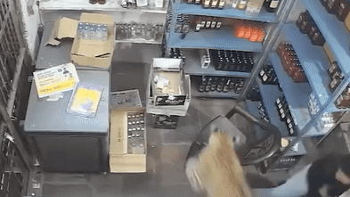 Shopkeeper survives leopard attack by a whisker