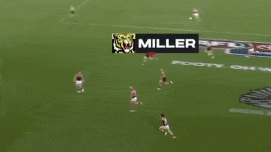 This AFL rule causes outrage and confusion. Two coaches love it