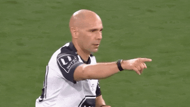 NSW players urge referee to stay firm against Harry Grant's appeals (australia) — SMH
