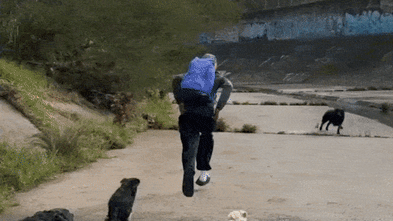Watch the moment a would-be assaulter is chased away by dogs