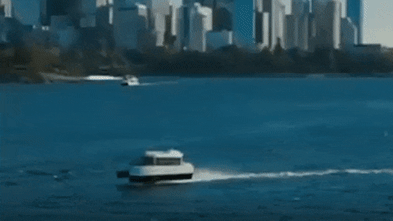 Sydney Harbour is getting electric hydrofoils. What’s it lik